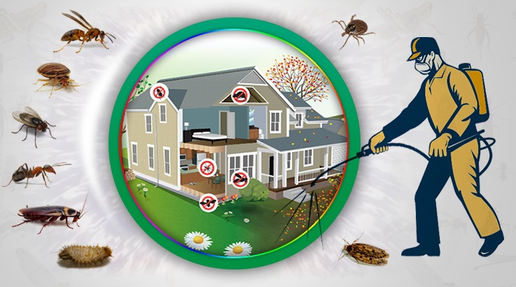 Kiraz Böcek İlaçlama